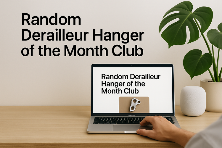 Introducing the Random Derailleur Hanger of the Month Club-112476094632 