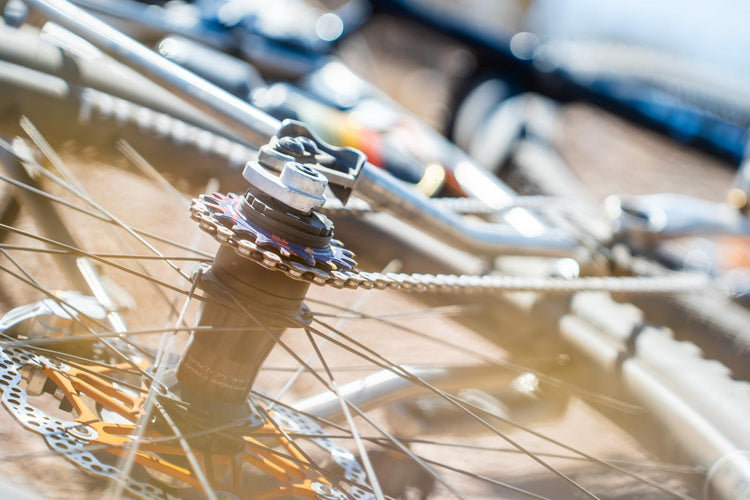 Wheels Manufacturing’s SOLO Kits Featured in The Radavist’s 2024 Favorites-112476651688 