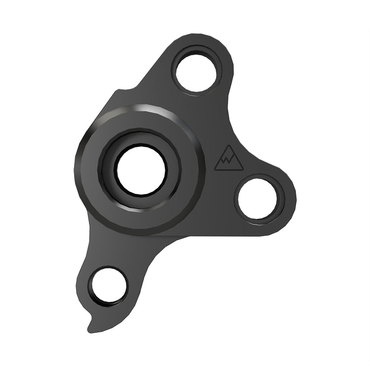 Derailleur Hanger 498-35391842615464 main