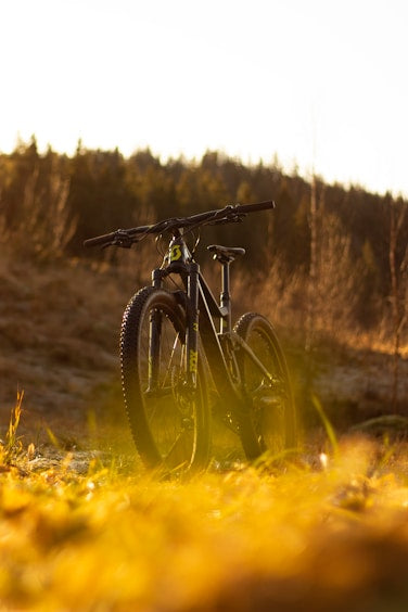 Wheels Mfg-36398878523560 