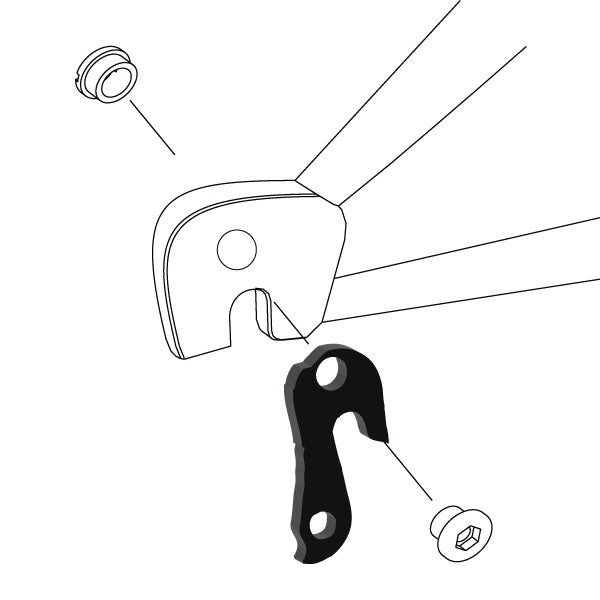 Hanger #114 attaches to the rear dropout from the outside or derailleur side using one M8 chainring bolt.-35391574605992 main