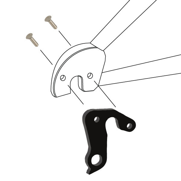 Hanger #116 attaches to the frame's rear dropout from the outside using two M5x10 flat head screws.-35391555895464 main