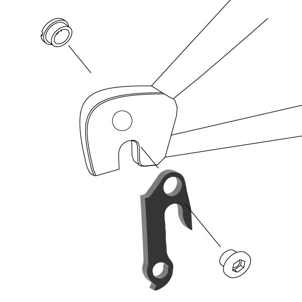 Hanger #125 attaches to the rear dropout from the outside or derailleur side using one M8 chainring bolt.-35391558287528 main