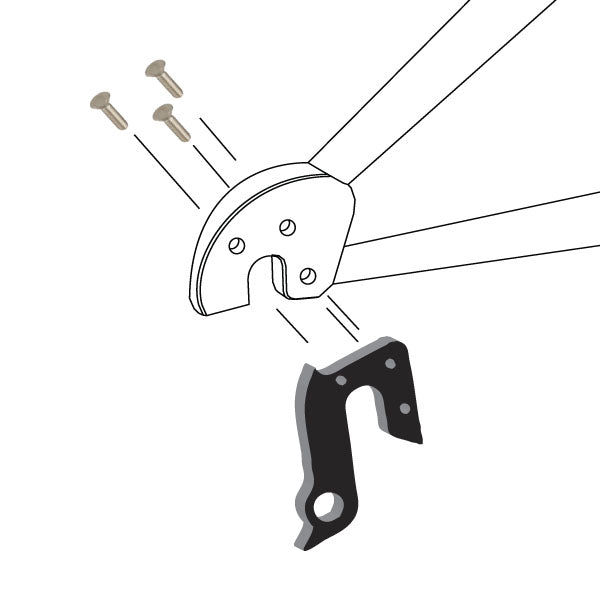 Hanger #145 attaches to the frame's rear dropout from the outside, or derailleur side using two M4x10 flat head screws.-35391542001832 main