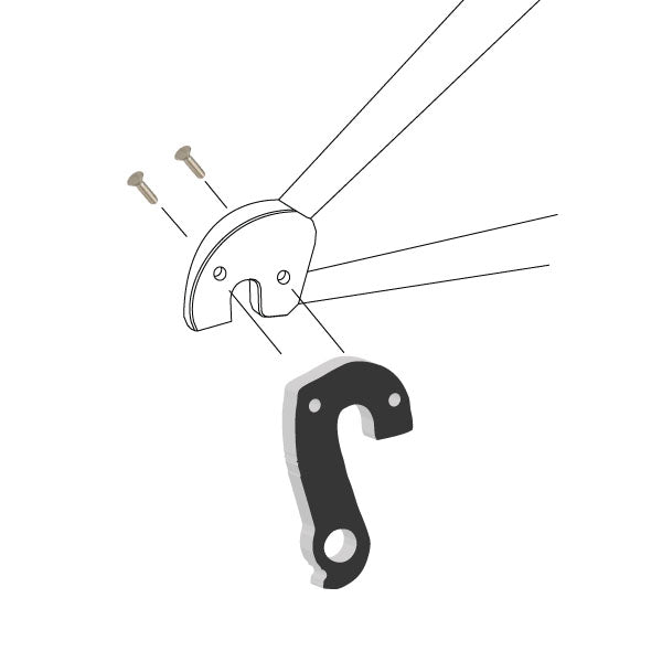 Derailleur Hanger 171-45053615276200 