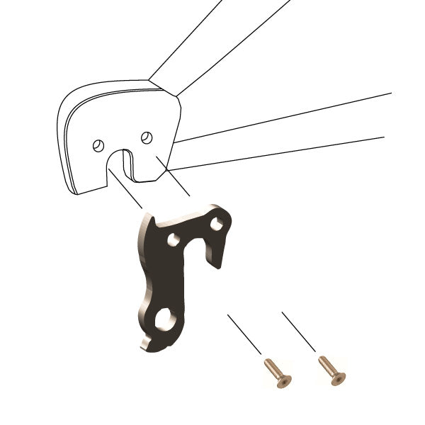 Hanger #189 attaches to the frame's rear dropout from the outside using two M5x8 screws.-35391648071848 main