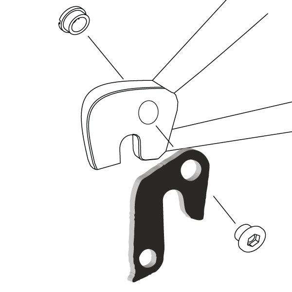 Hanger #19 attaches to the rear dropout from the outside or derailleur side using one M8 chainring bolt.-35391570772136 main