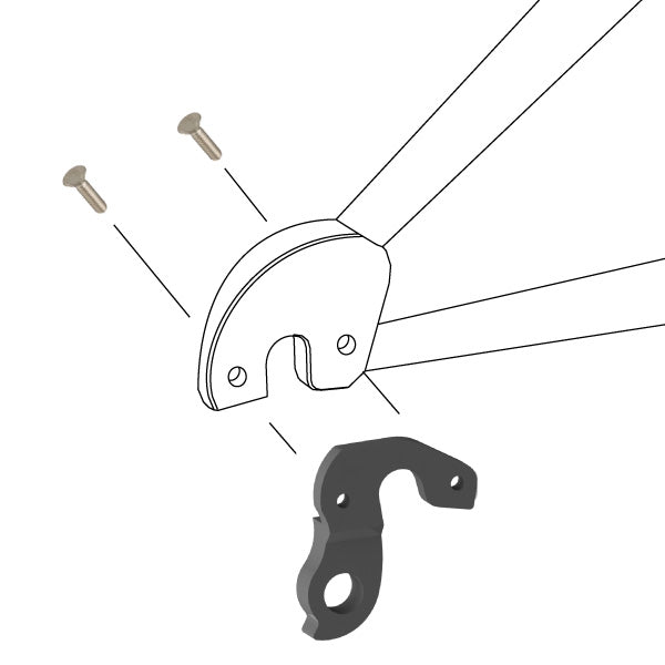 Hanger #193 attaches to the frame's rear dropout from the outside using two M4x10 screws.-35391651119272 main