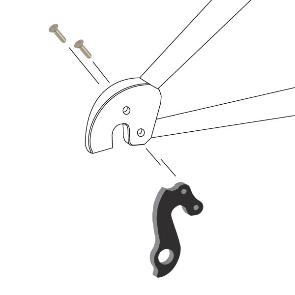 Hanger #203 attaches to the frame's rear dropout from the outside using two M4x8 screws.-35391648399528 main