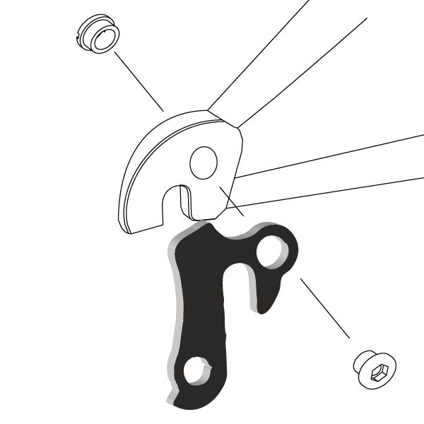 Hanger #21 attaches to the rear dropout from the outside or derailleur side using one M8 chainring bolt.-35391551996072 main