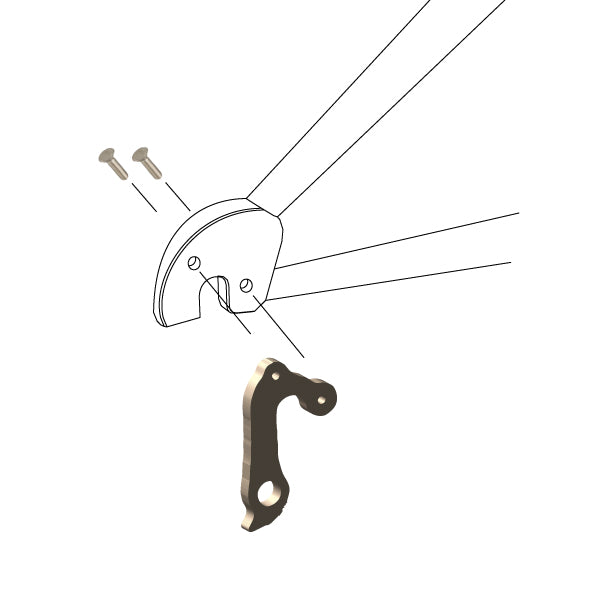 Hanger #215 attaches to the frame's rear dropout from the outside using two M4x8 screws.-35391656067240 main