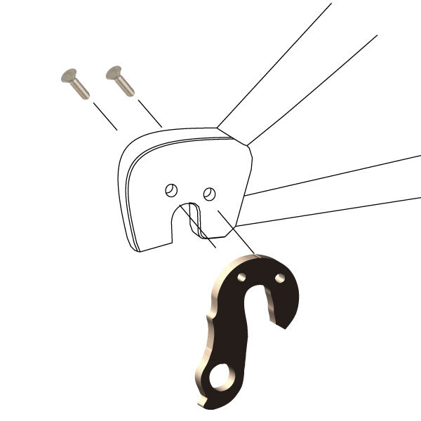 Hanger #217 attaches to the frame's rear dropout from the outside, or derailleur side using two M4x8 screws.-35391656984744 main