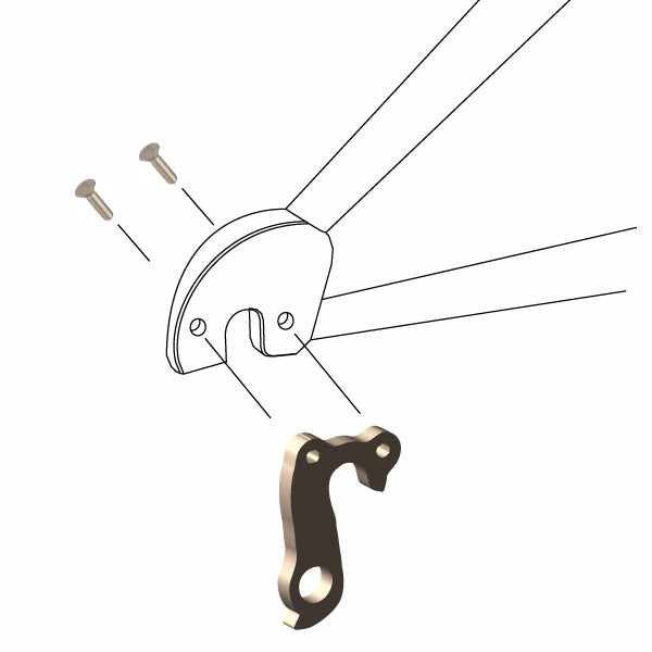 Hanger #219 attaches to the frame's rear dropout from the outside using two M4x8 screws.-35391662751912 main