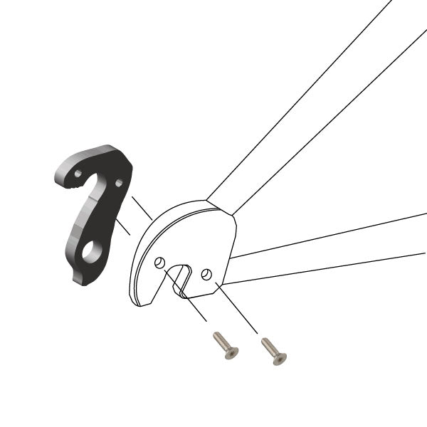Hanger #244 attaches to the frame's rear dropout from the inside using two M4x8 screws.-35391673761960 main