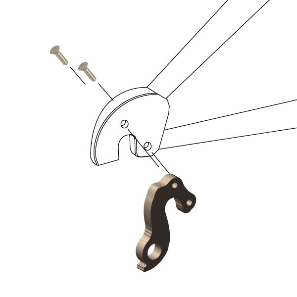 Hanger #248 attaches to the frame's rear dropout from the outside, or derailleur side using two M4x8 screws.-35391674515624 main