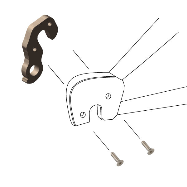 Hanger #251 attaches to the frame's rear dropout from the inside using two M4x8 screws.-35391681659048 main