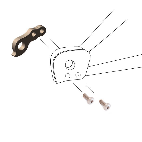 Hanger #252 attaches to the frame's rear dropout from the inside using two M5x12 screws.-35391681855656 main