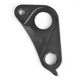 Derailleur Hanger 301
