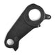 Derailleur Hanger 371
