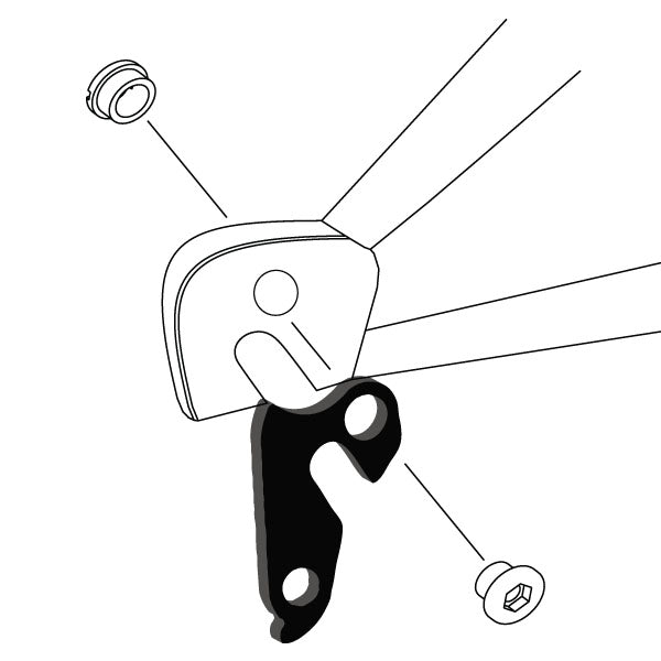Hanger #38 attaches to the rear dropout from the outside or derailleur side using one M8 chainring bolt.-35391540756648 main