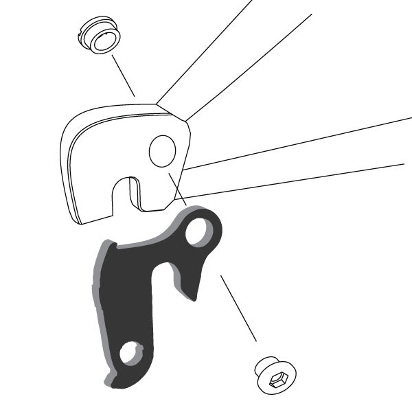 Hanger #43 attaches to the rear dropout from the outside or derailleur side using one M8 chainring bolt.-35391536365736 main