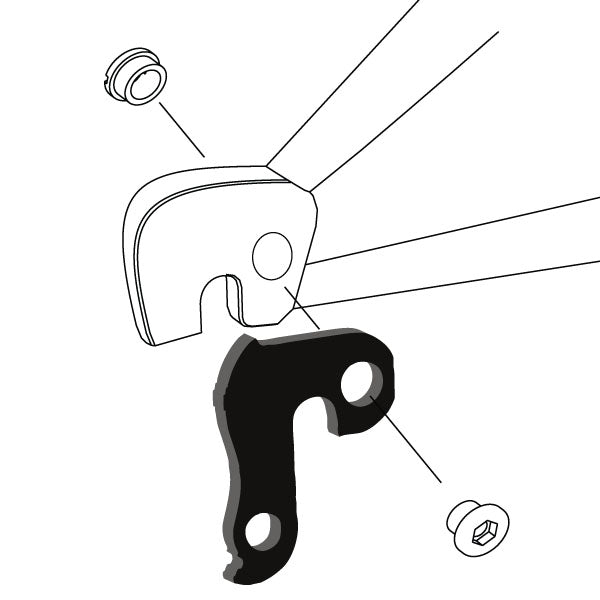 Hanger #45 attaches to the rear dropout from the outside or derailleur side using one M8 chainring bolt.-35391535841448 main