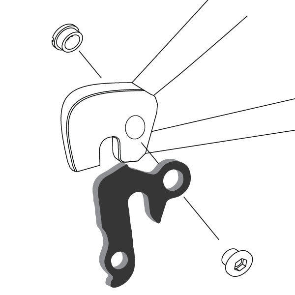 Hanger #46 attaches to the rear dropout from the outside or derailleur side using one M8 chainring bolt.-35391535546536 main