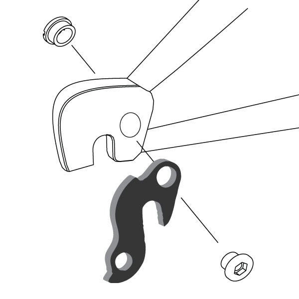 Hanger #49 attaches to the rear dropout from the outside or derailleur side using one M8 chainring bolt.-35391529320616 main