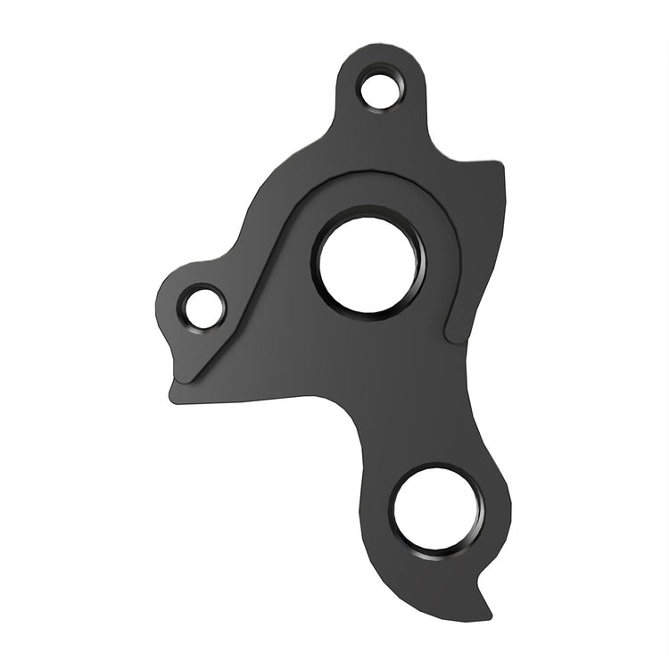 Derailleur Hanger 600-45053964255400 